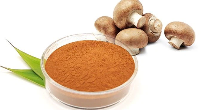 Lentinan Extract.png